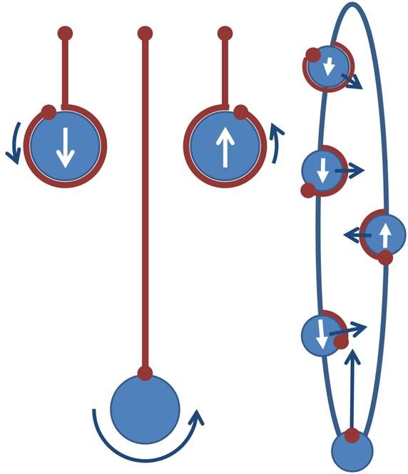 Diagram with arrows showing a yo-yo falling and spinning, sleeping at the end of the string, and climbing back up
